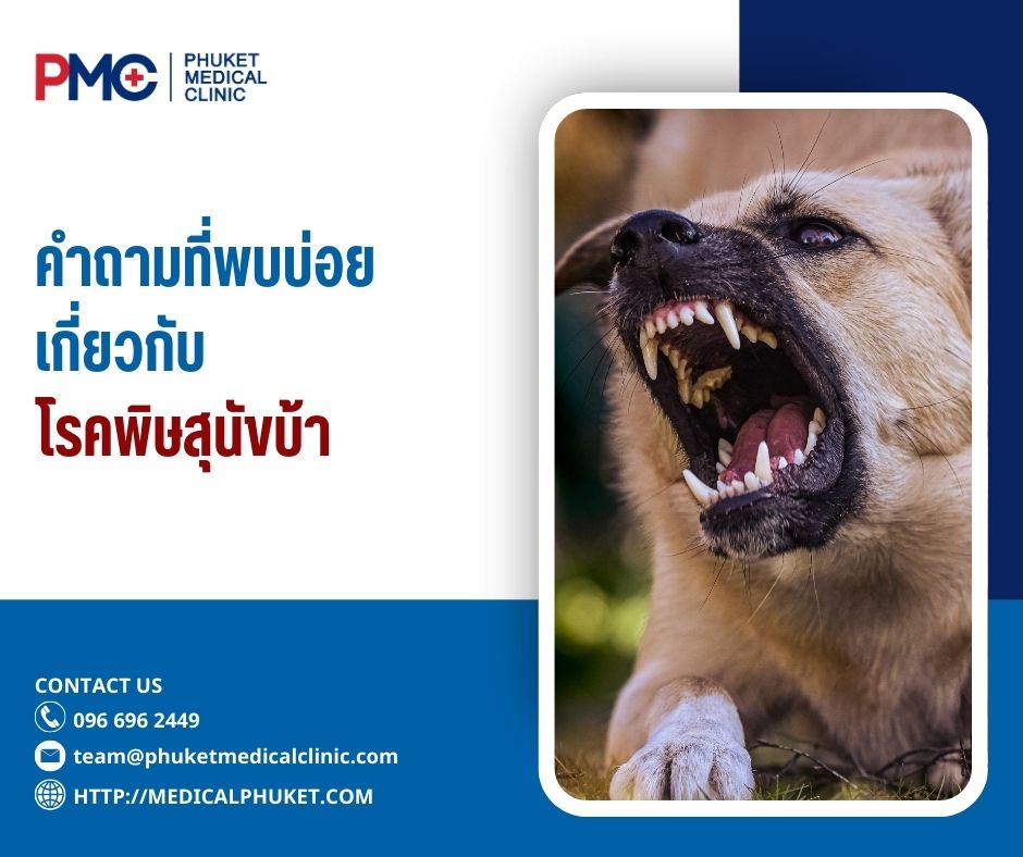 คำถามที่พบบ่อยเกี่ยวกับโรคพิษสุนัขบ้า