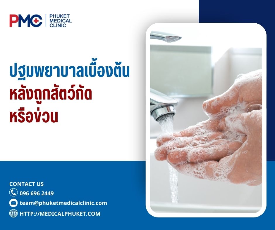 ปฐมพยาบาลเบื้องต้นหลังถูกสัตว์กัด หรือข่วน